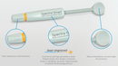 Resina Spectra Smart - Dentsply Sirona